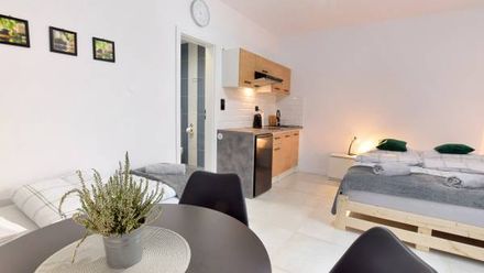 Mini Apartament pod 13 (1)