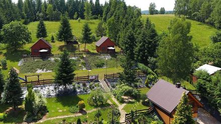 Modrzewiowe Wzgórze (1)