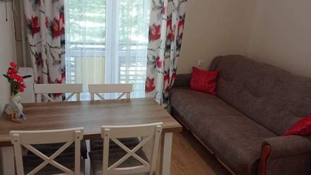 Apartament 2-pokojowy w Parku, Rabka Zdrój (1)