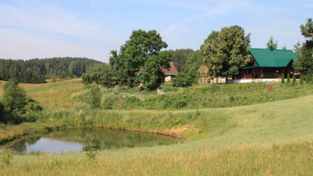 Pod Gruszą i Lipą (1)