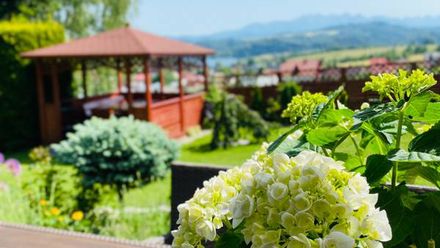 Pensjonat Willa Pienińska (1)