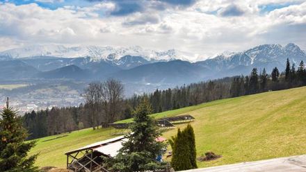 U Wacława pod Lasem (1)