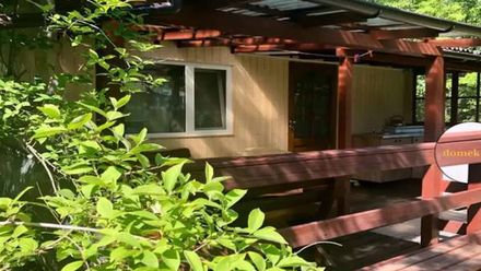 Między Drzewami (1)