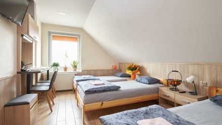 Noclegi i Apartamenty P7 Dzierżoniów (1)