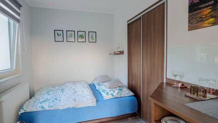 Pokoje " Lawenda " (1)