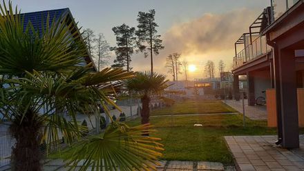 Dom przy żywych palmach i jeziorze. Luksus i relax (1)