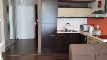 Apartament De Lux Sunny (1)