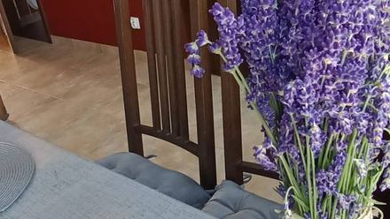 Apartament Żeglarz (1)