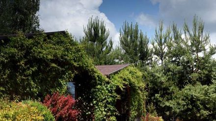 Domki Letniskowe Pod Brzozami (1)