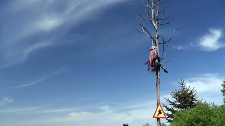 Siedlisko Carownica Family & Wellness (1)