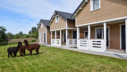 Torfu Sianożęty (1)