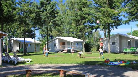 Domki letniskowe i pokoje Wojtek (1)