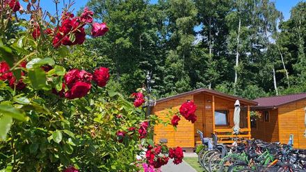 Domki letniskowe Wikar (1)