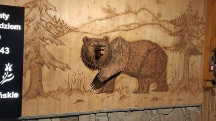 Apartamenty Pod Niedźwiedziem Centrum (1)