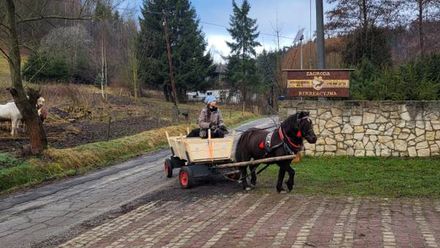 Agroturystyka-Zagroda Studzienno (1)
