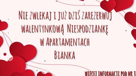 Apartamenty Bianka (1)