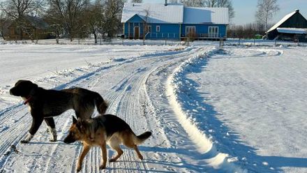 Wiejskie podwórze Ekologiczne gospodarstwo agroturystyczne (1)