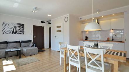 Apartament Zebra (1)