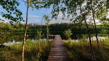 Las i Woda - Wypocznij na Mazurach ! (1)