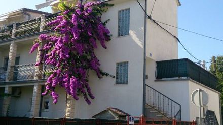 Apartamenty Đuzel (1)