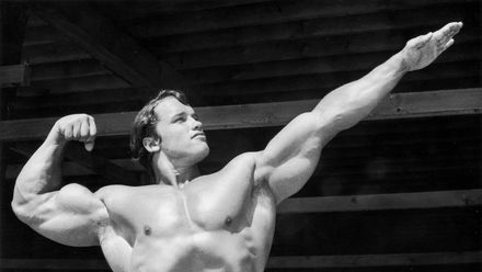 Potężne "chłopy" - rozpoznaj kulturystów, wrestlerów, gwiazdy kina!