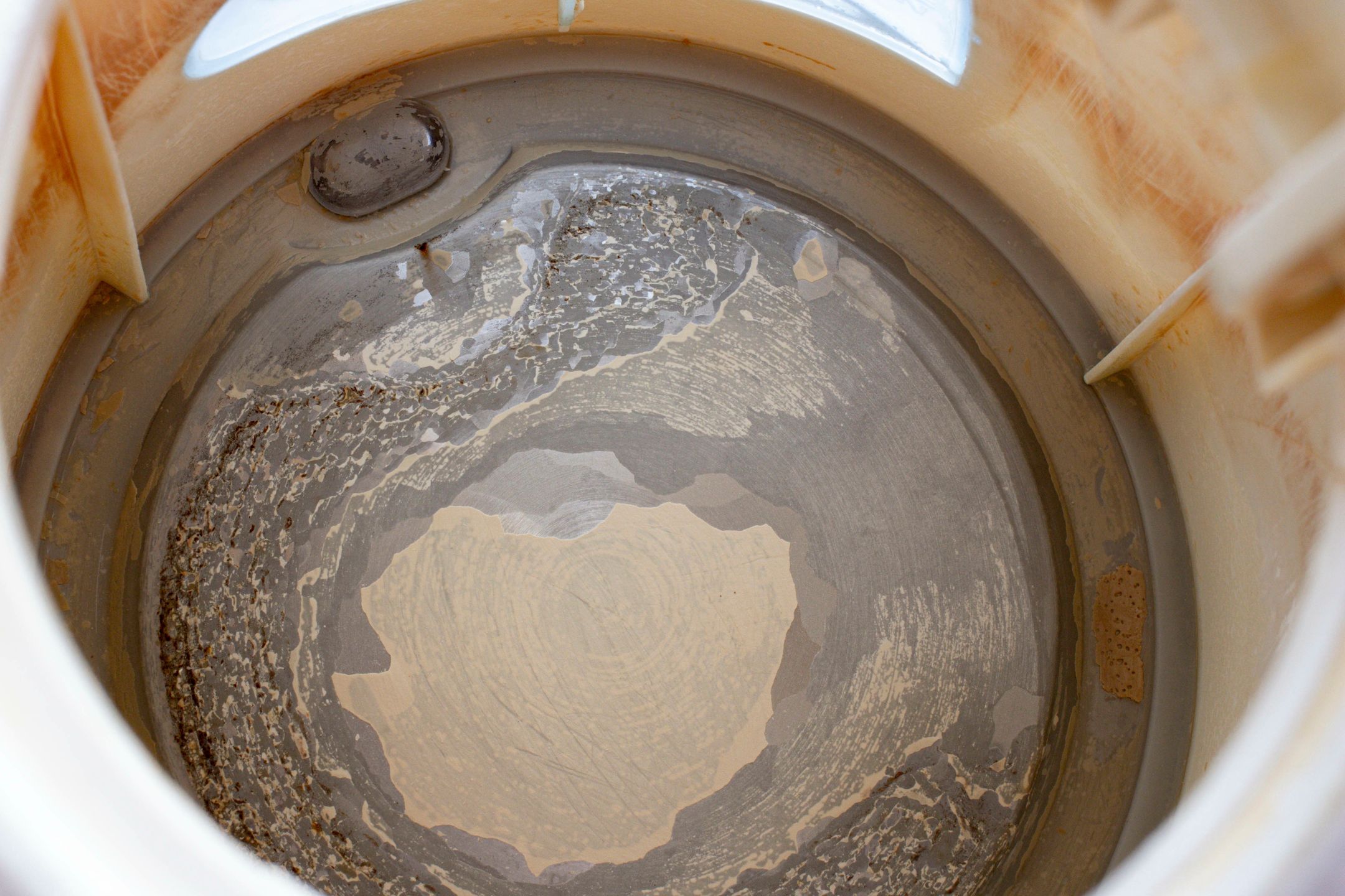 Sip clean. Simple citric acid trick to banish kettle scale