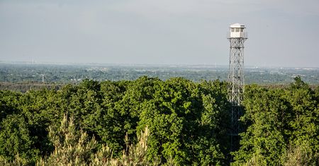 Najwyższe szczyty w Wielkopolsce pieszo i na rowerze - poznaj najlepsze trasy