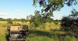 Mazurskie safari
