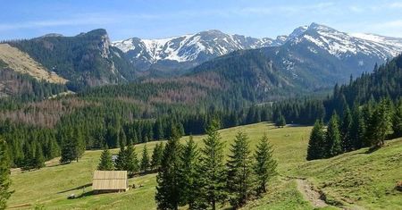 Polana Kalatówki. Spacer Drogą Brata Alberta i atrakcje na trasie