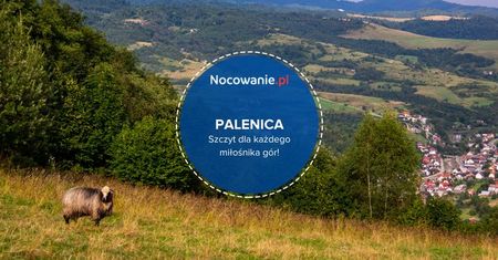 Palenica - szczyt dla każdego miłośnika gór