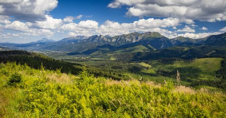 Magura Witowska: zachwycający punkt widokowy na Tatry