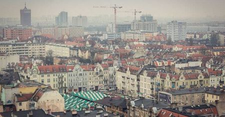 Poznański Szlak Jeżycjady - nowa atrakcja z literaturą w tle. Co warto wiedzieć?