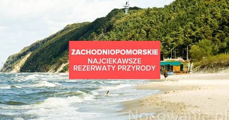 Najciekawsze rezerwaty przyrody w Zachodniopomorskim