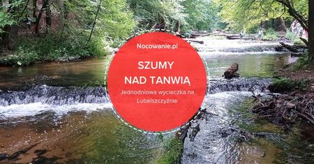 Jednodniowa wycieczka na Lubelszczyźnie. Rezerwat przyrody Szumy nad Tanwią