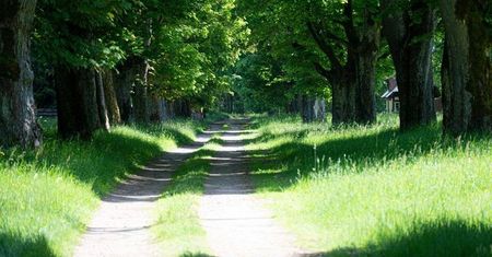 Europejski Dzień Parków Narodowych. Które parki warto odwiedzić wiosną i latem?