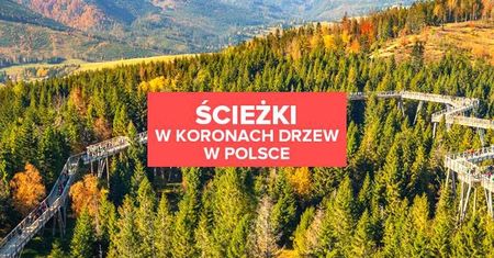 Ścieżki w koronach drzew w Polsce. Gdzie są i co oferują?