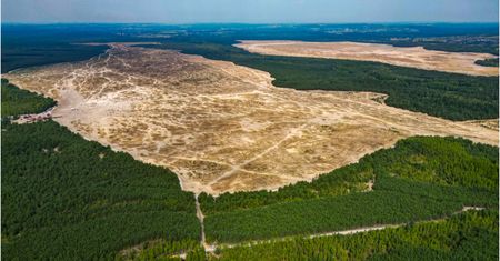 400-metrowa kładka nad mokradłami i morze piasku. Velo Pustynia robi wrażenie