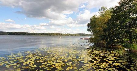 Kajakowa wyprawa po rzece Dajnie