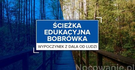 Wypoczynek z dala od ludzi: Ścieżka edukacyjna Bobrówka
