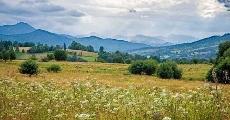 Łatwy spacer z panoramą Tatr: Bachledzki Wierch i Antałówka