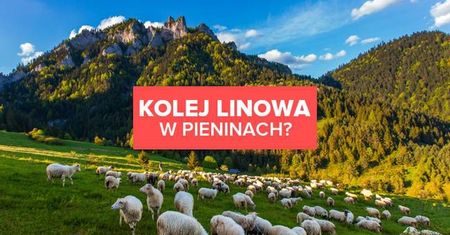 Kolej linowa w Pieninach? Są takie plany!