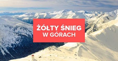 Żółty śnieg w Polsce. Skąd się wziął?