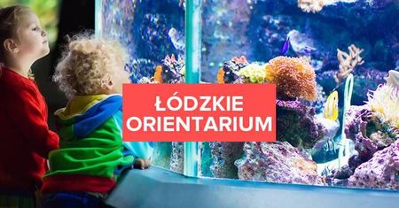 W Łodzi powstaje orientarium. Czym zaskoczy nas ta nowa atrakcja turystyczna?