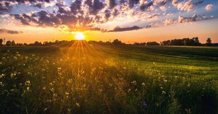 Nowa wieża widokowa w Polsce. Można z niej podziwiać piękne widoki i... Tatry!