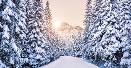 Wszystko, co NAJ podczas zimy w Polsce
