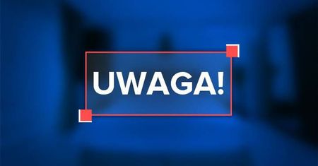 Muzea i galerie znów są otwarte. O czym warto pamiętać?