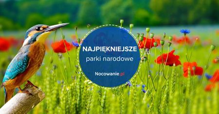 Poznaj 7 najpiękniejszych parków narodowych w Polsce