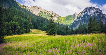 Dolina Kościeliska - najpiękniejsza dolina w polskich Tatrach?
