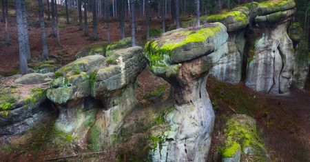 Gorzeszowskie Skałki - wyjątkowy rezerwat przyrody w Górach Stołowych