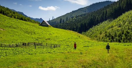 Tatry w szczycie sezonu bez tłumów? Urokliwa Dolina Lejowa [zdjęcia]